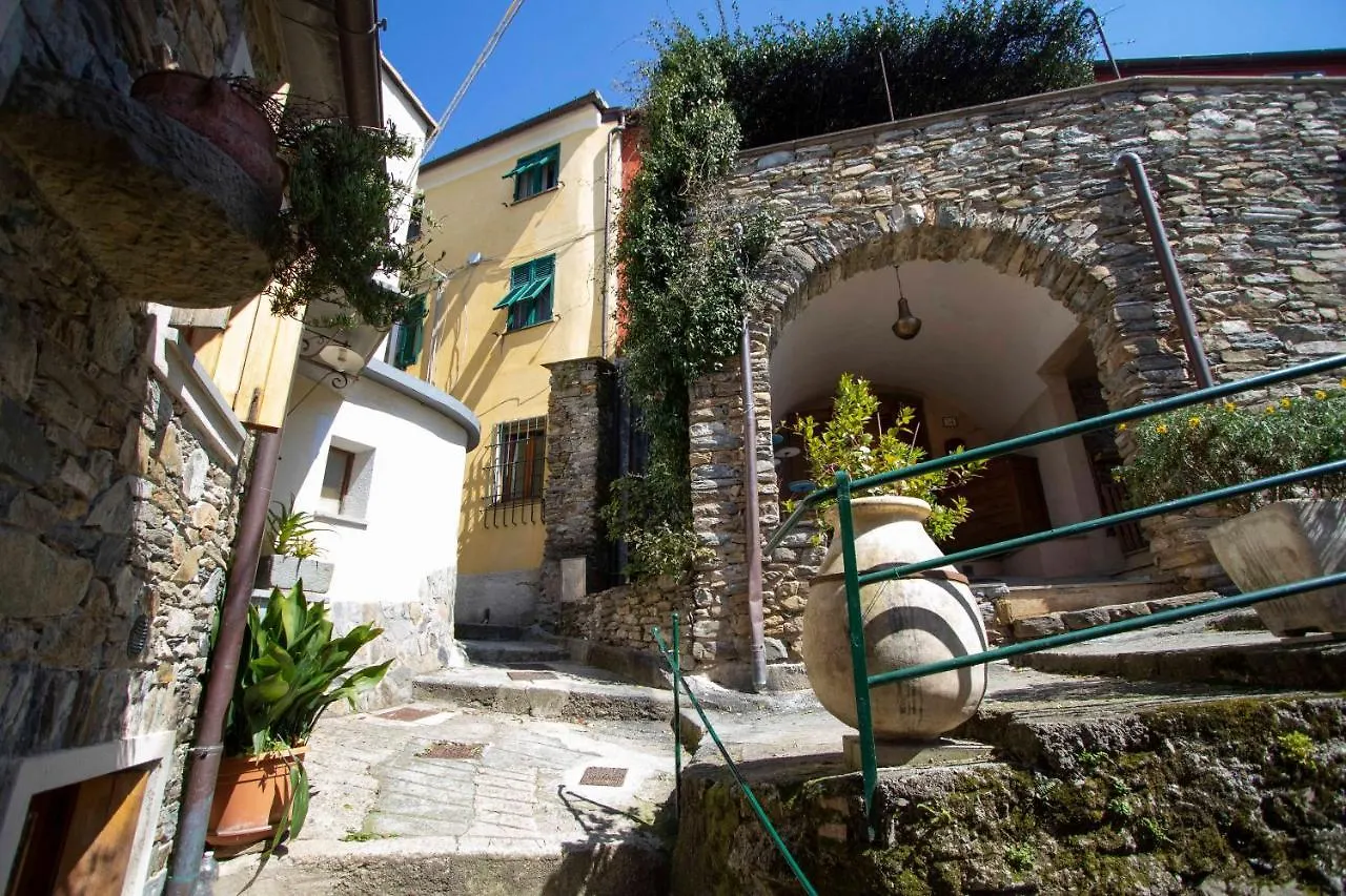 Apartment Le Case Di Petra Vignana